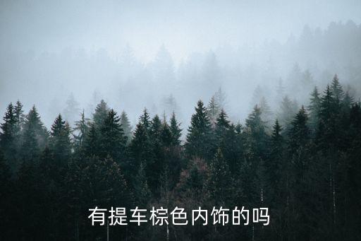 有提车棕色内饰的吗