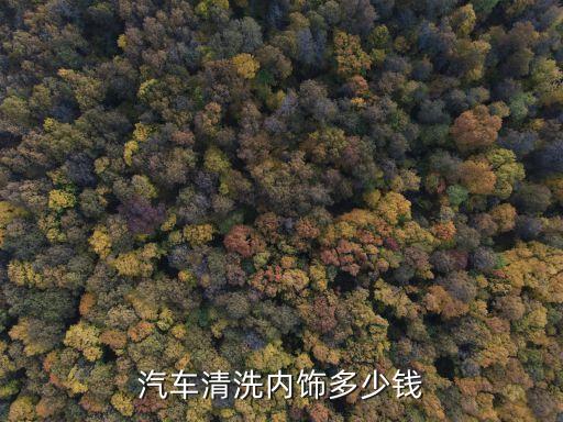 汽车清洗内饰多少钱