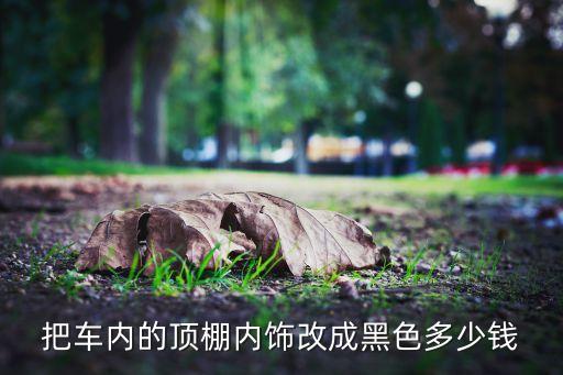 把车内的顶棚内饰改成黑色多少钱