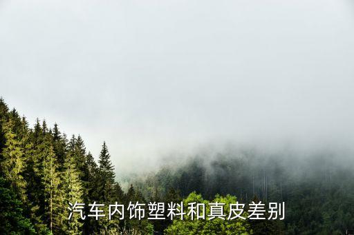 汽车内饰塑料和真皮差别