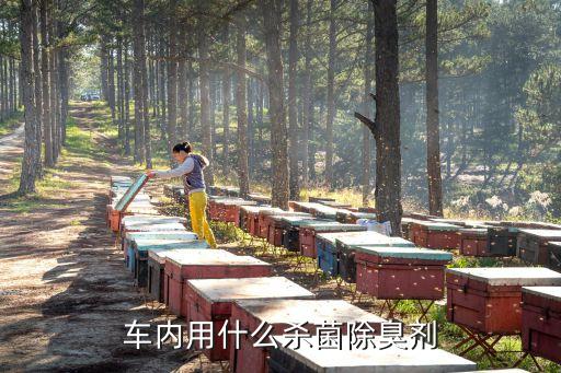 车内用什么杀菌除臭剂