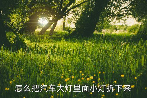 怎么把汽车大灯里面小灯拆下来