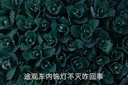 途观车内饰灯不灭咋回事