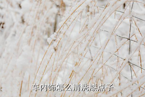 白色汽车怎么清洗内饰漆，汽车内饰里面的白漆怎么才能搞掉