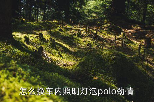 怎么换车内照明灯泡polo劲情