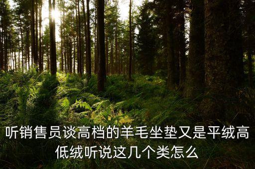 汽车内饰羊毛是什么，听销售员谈高档的羊毛坐垫又是平绒高低绒听说这几个类怎么