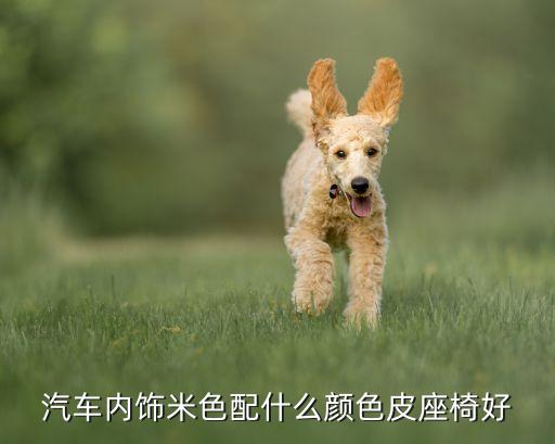 汽车内饰米色配什么颜色皮座椅好