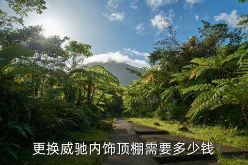 更换威驰内饰顶棚需要多少钱