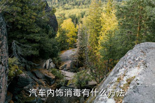 汽车内饰消毒有什么方法