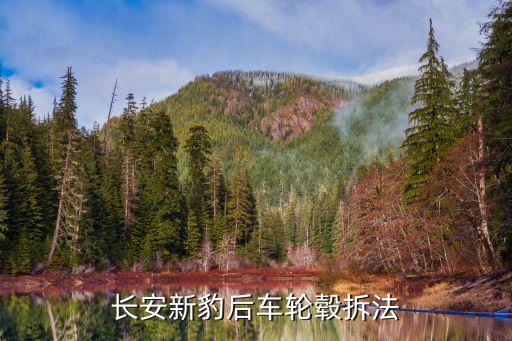 长安新豹后车轮毂拆法