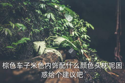 棕色车子米色内饰配什么颜色头枕呢困惑给个建议吧