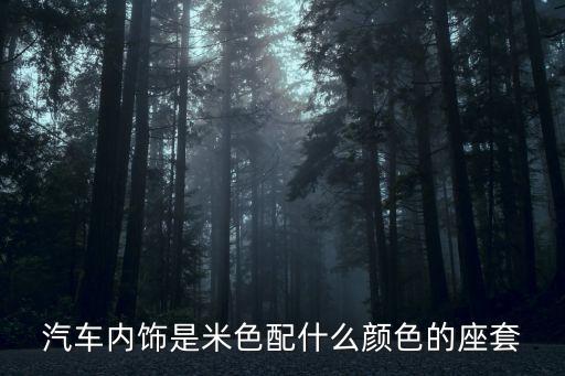 汽车内饰缝隙配什么颜色，汽车内饰是米色配什么颜色的座套