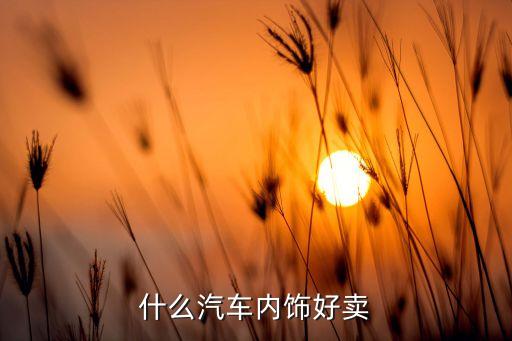 什么汽车内饰好卖