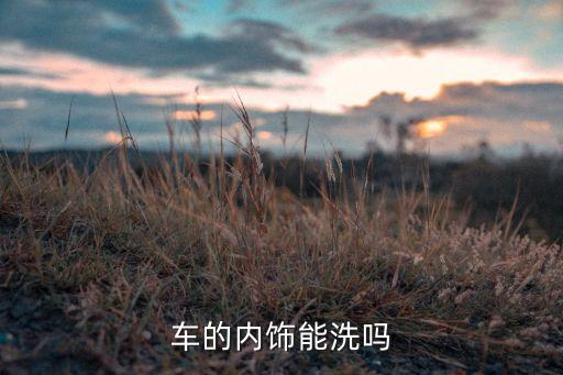 车的内饰能洗吗