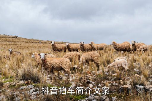什么文案适合拍汽车内饰，抖音拍车简介文案