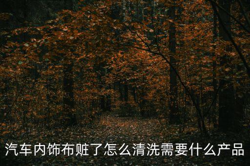 汽车内饰布赃了怎么清洗需要什么产品