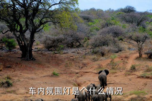 车内氛围灯是个什么情况