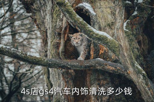 4s店gs4汽车内饰清洗多少钱