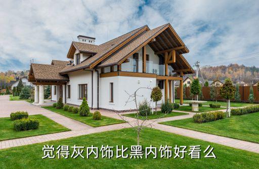 汽车亮灰色内饰怎么样，觉得灰内饰比黑内饰好看么
