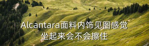 Alcantara面料内饰见图感觉坐起来会不会擦住