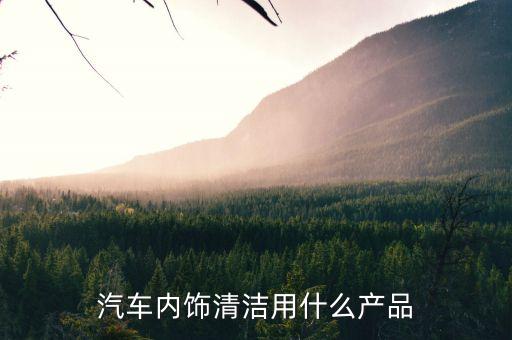 擦汽车内饰用什么，汽车内饰清洁用什么产品