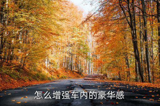 怎么增强车内的豪华感