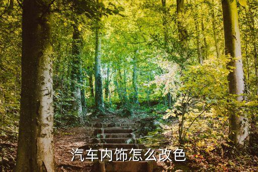 汽车如何自己拼色内饰呢，汽车内饰怎么改色