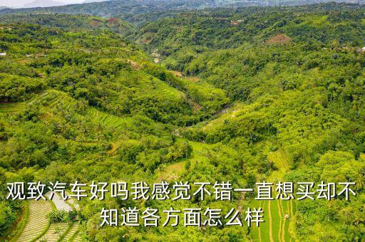 观致汽车的内饰怎么样，观致3车怎么样