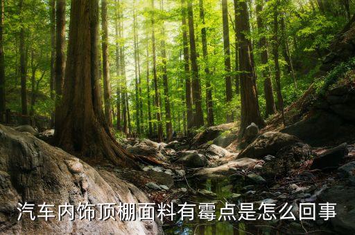 汽车内饰顶棚面料有霉点是怎么回事