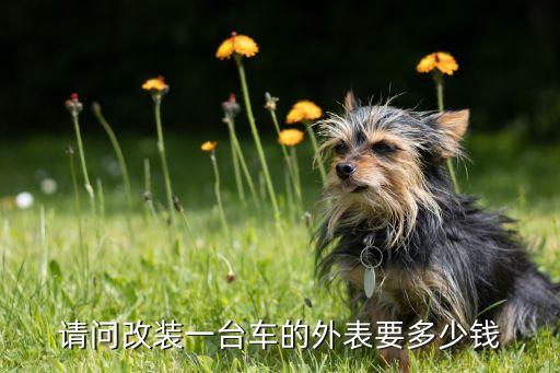 请问改装一台车的外表要多少钱