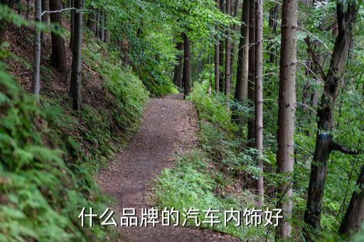 什么品牌的汽车内饰好