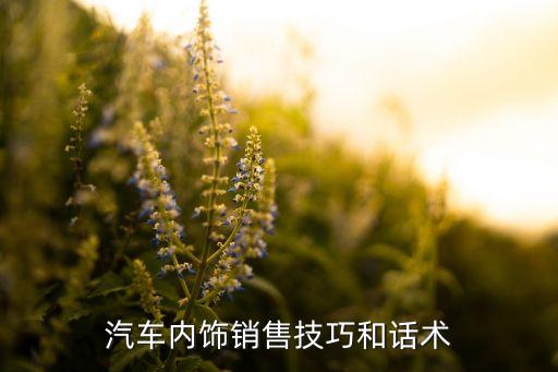 汽车内饰销售技巧和话术