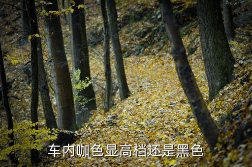 汽车内饰什么颜色高端，车内咖色显高档还是黑色