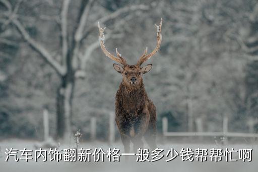 汽车内饰翻新价格一般多少钱帮帮忙啊