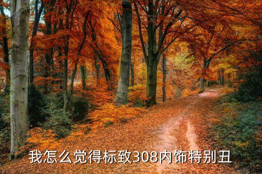我怎么觉得标致308内饰特别丑