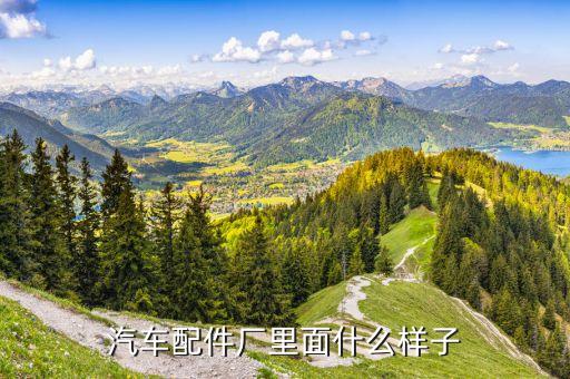 汽车配件厂里面什么样子