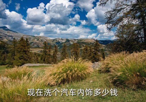 现在洗个汽车内饰多少钱