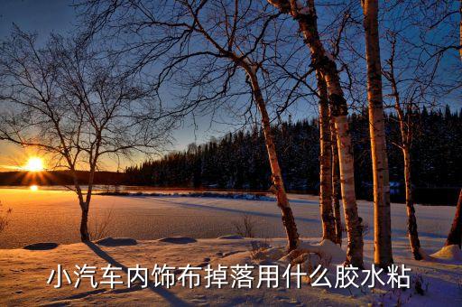 小汽车内饰布掉落用什么胶水粘