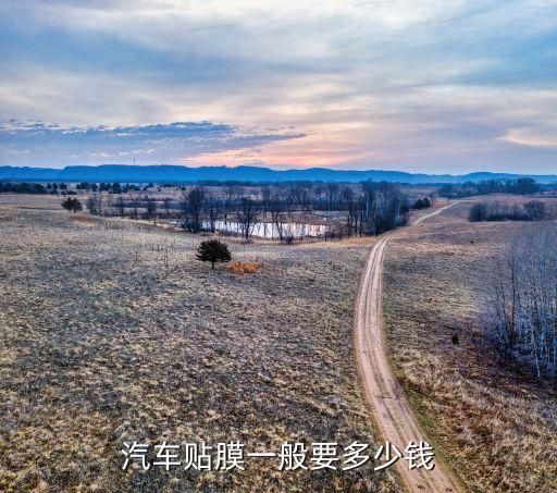 汽车贴膜一般要多少钱