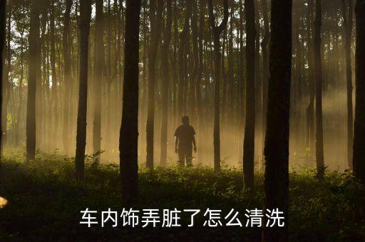 车内饰弄脏了怎么清洗