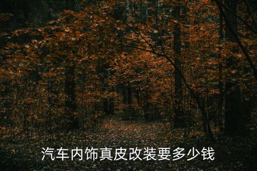 泉州汽车改内饰需要多少钱，请问汽车内饰改装要多少钱