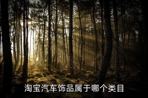 淘宝汽车饰品属于哪个类目
