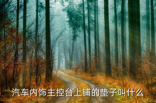 汽车内饰主控台上铺的垫子叫什么