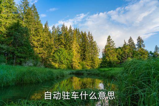 自动驻车什么意思
