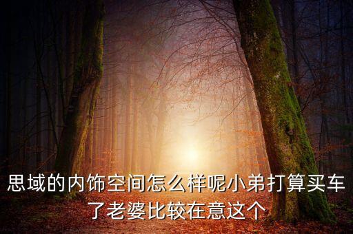 思域的内饰空间怎么样呢小弟打算买车了老婆比较在意这个
