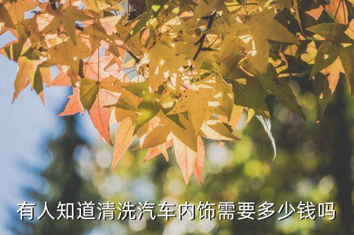 有人知道清洗汽车内饰需要多少钱吗