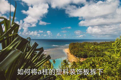 起亚汽车a柱内饰板怎么拆，瑞纳a住内饰板什么拆