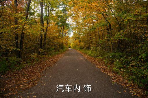 汽车内 饰