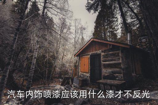 汽车内饰喷漆用的什么，汽车常见的喷漆工具有哪些