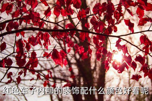 汽车红色内饰如何选色好看，红色车子内部的装饰配什么颜色好看呢